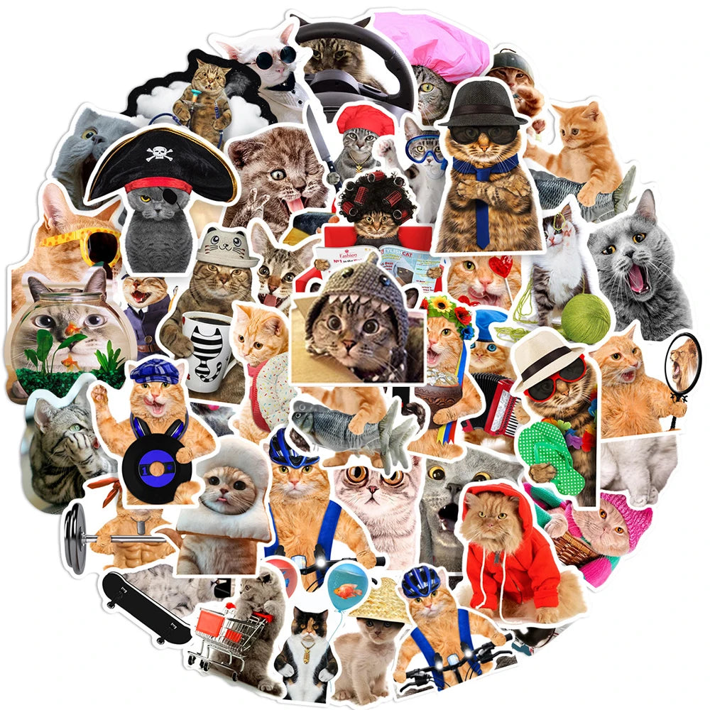 Silly Cats Set