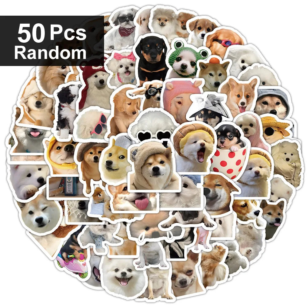 Funny Dogs Vol3 Set