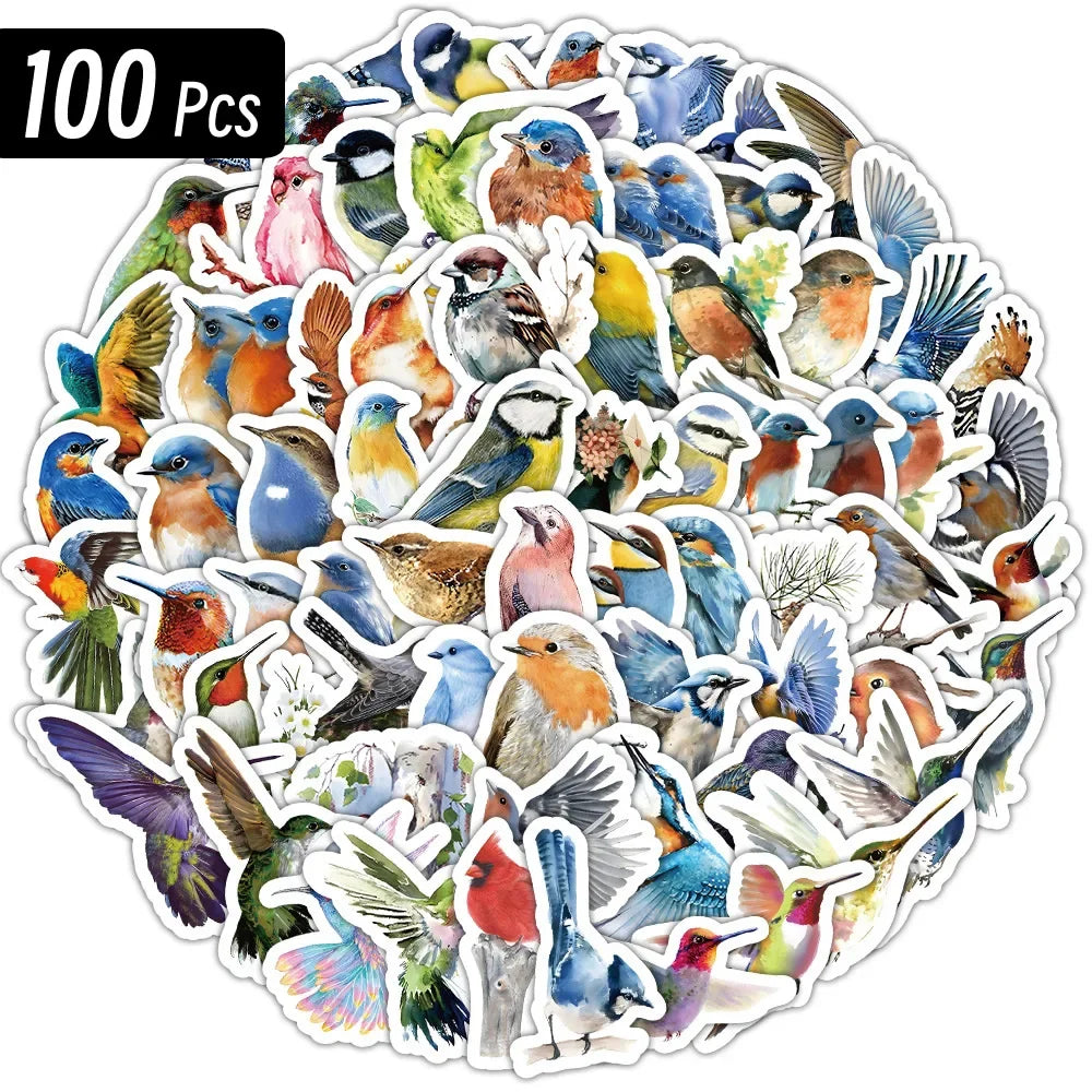 Beautiful Birds Set