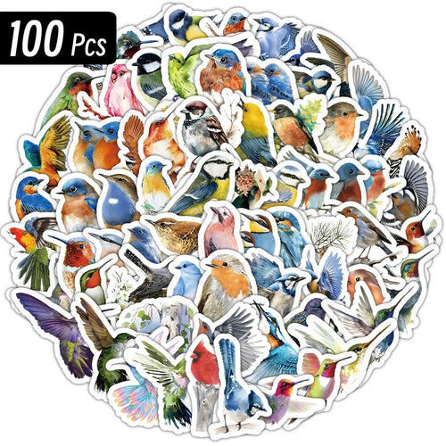 Beautiful Birds Set