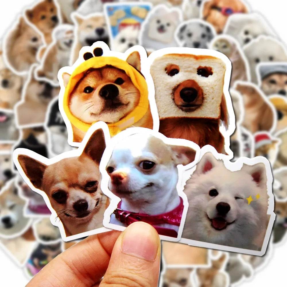 Funny Dogs Vol2 Set