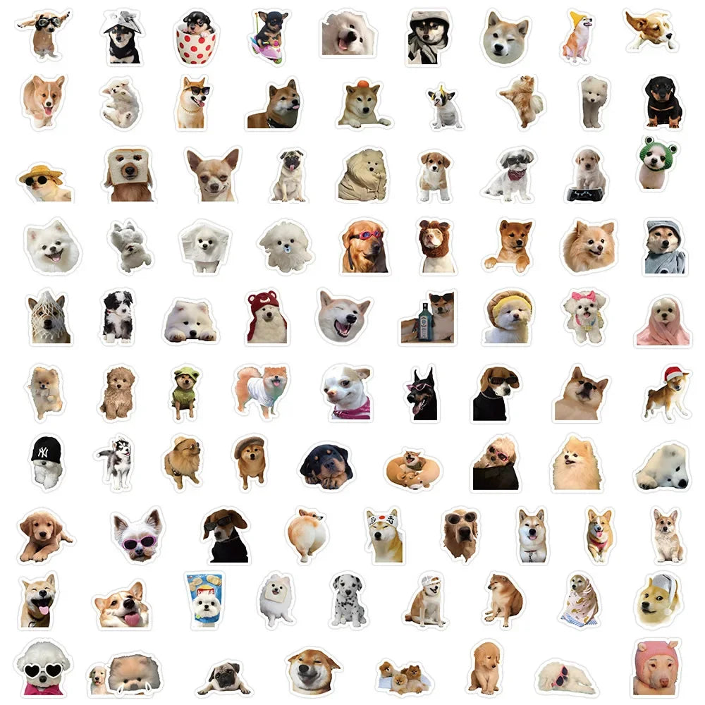 Funny Dogs Vol2 Set