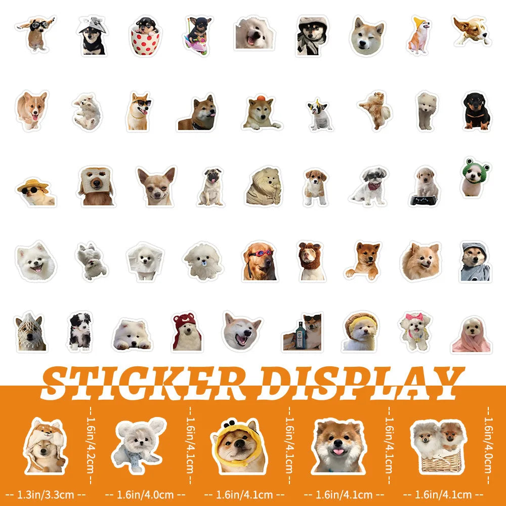 Funny Dogs Vol3 Set