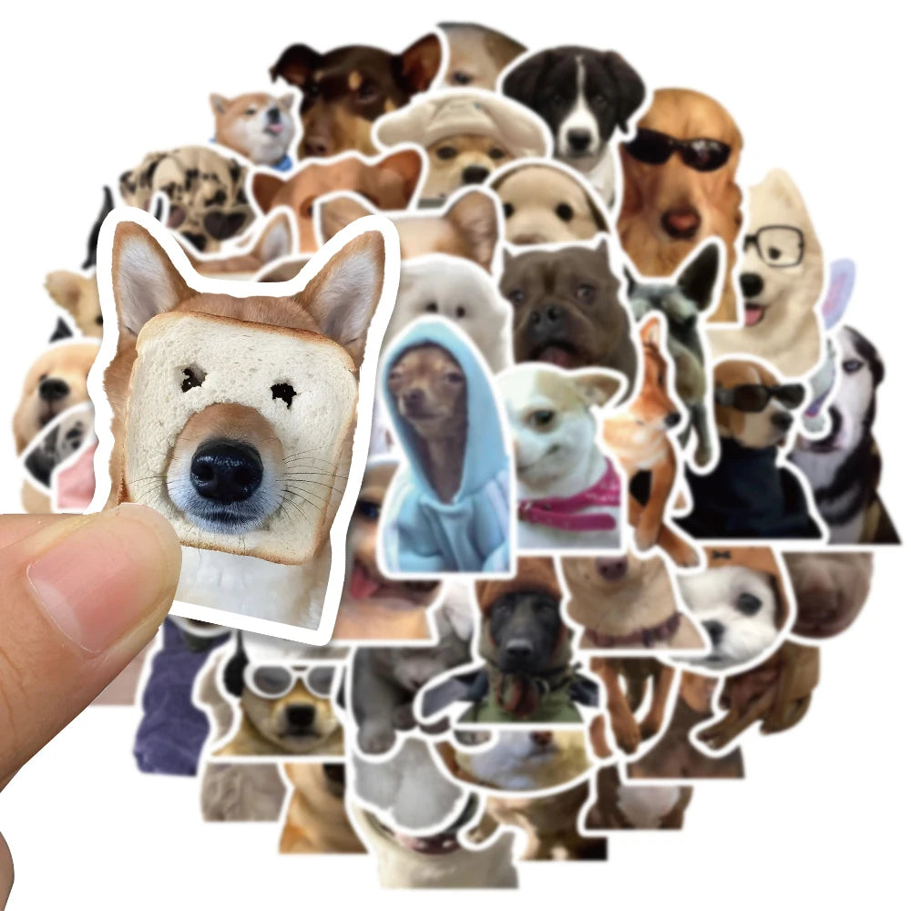 Funny Dog/Cat Set