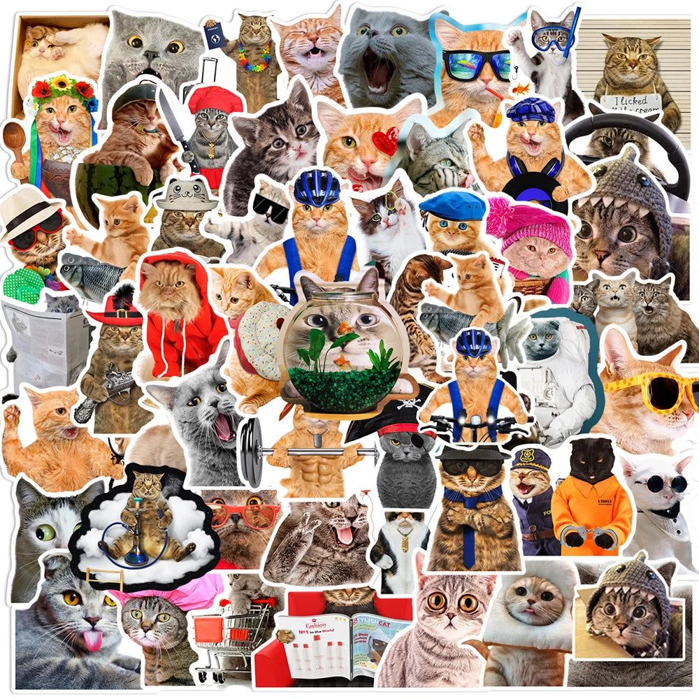 Silly Cats Set