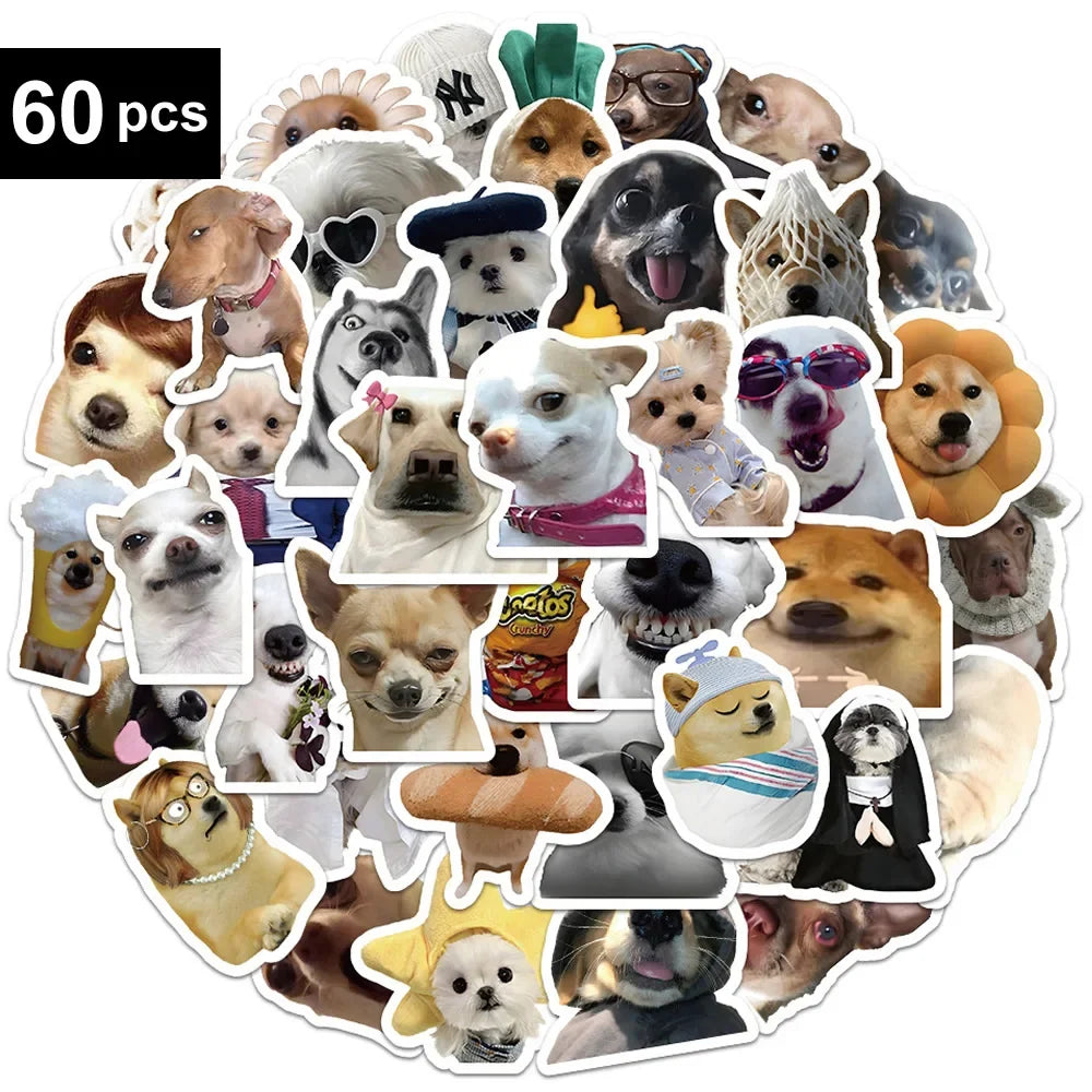 Funny Dogs Vol1 Set