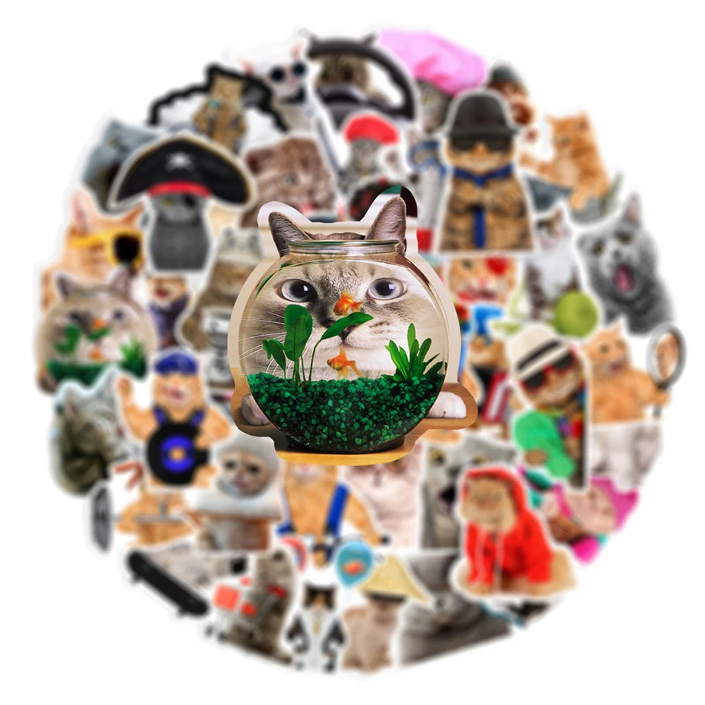 Silly Cats Set