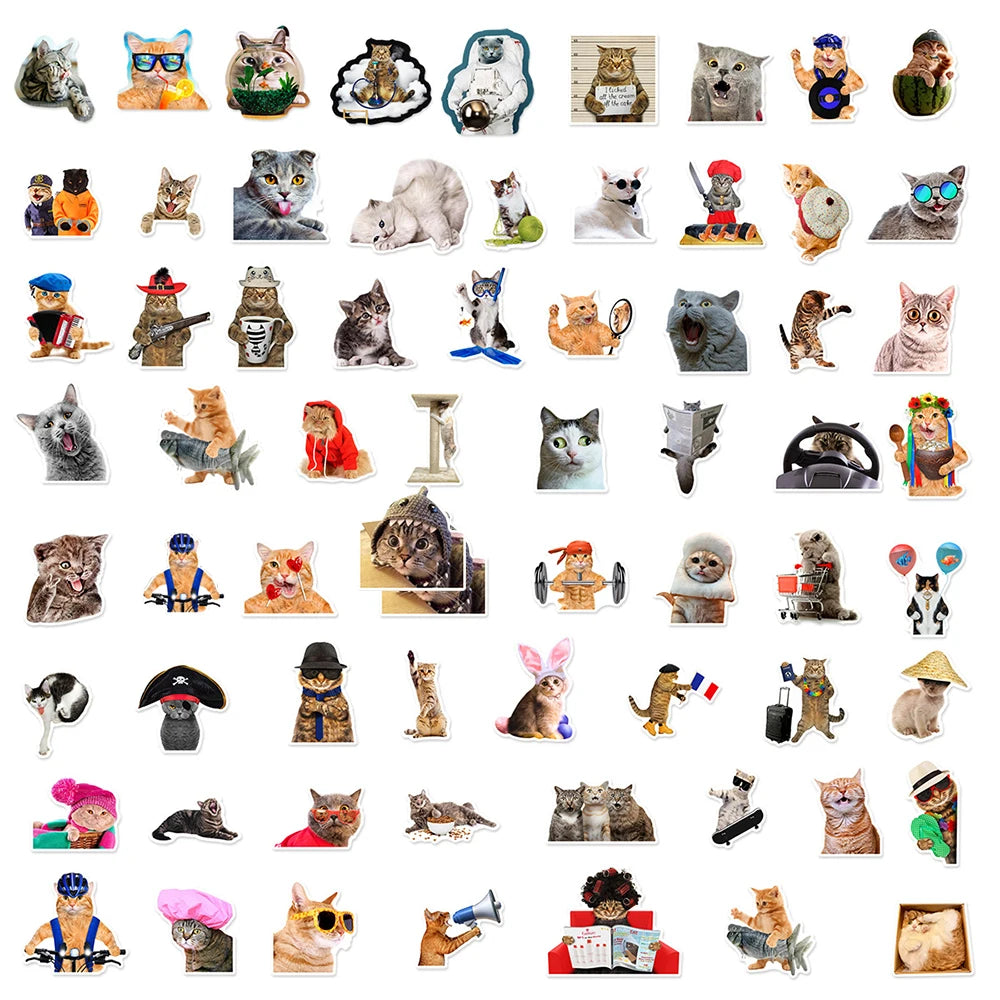 Silly Cats Set