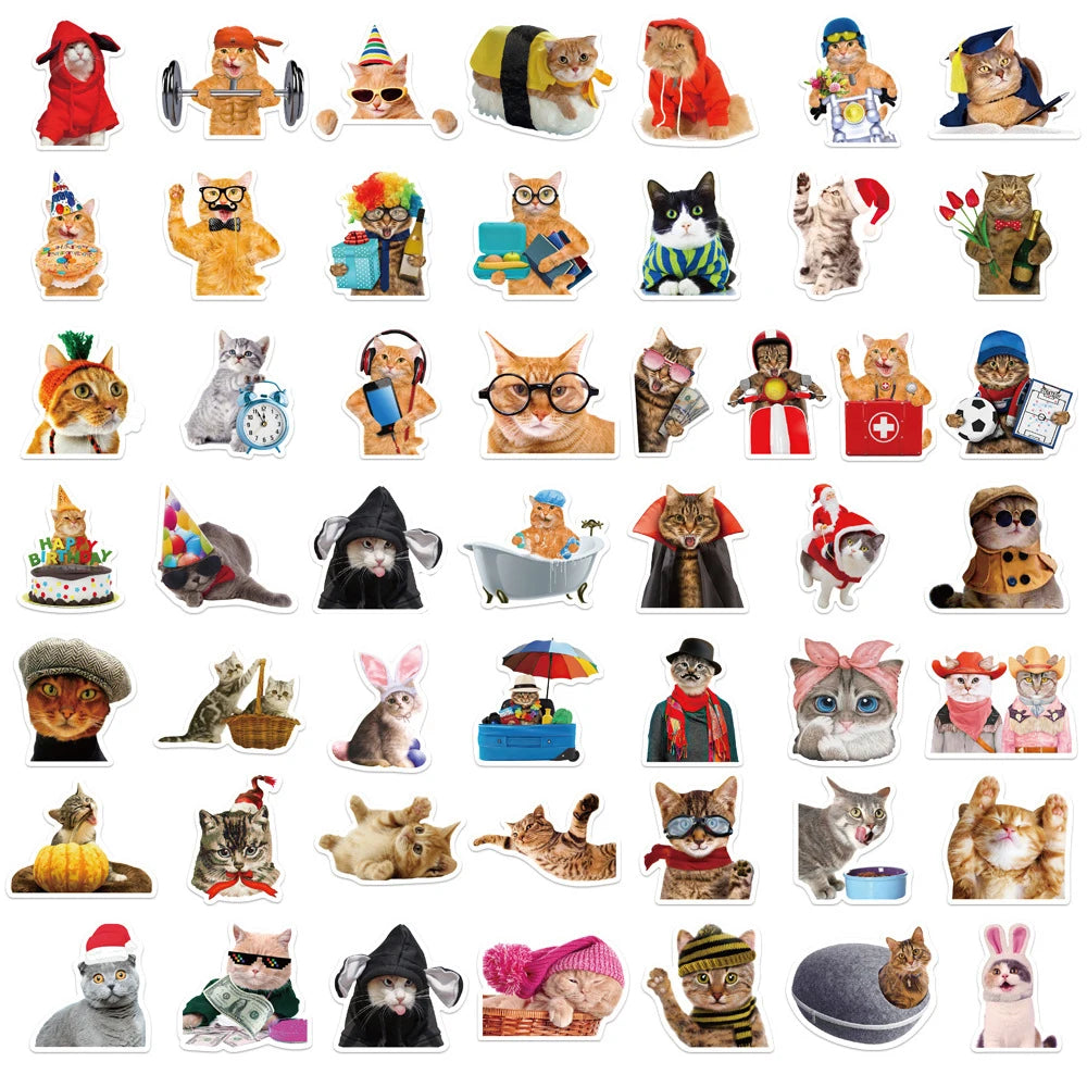 Cat Costumes Set