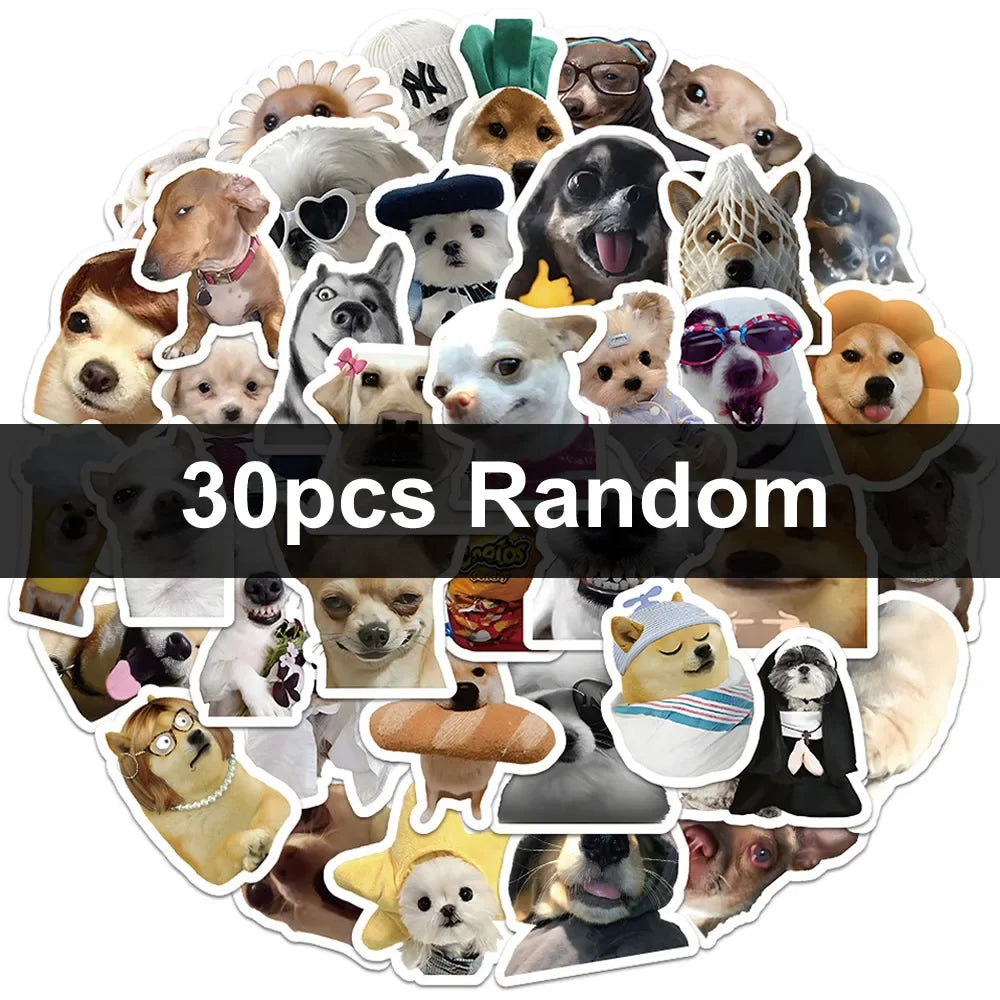 Funny Dogs Vol1 Set