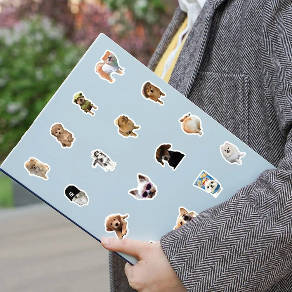 Funny Dogs Vol2 Set