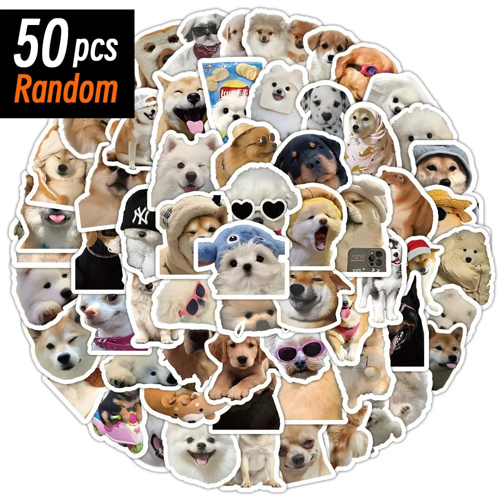 Funny Dogs Vol2 Set