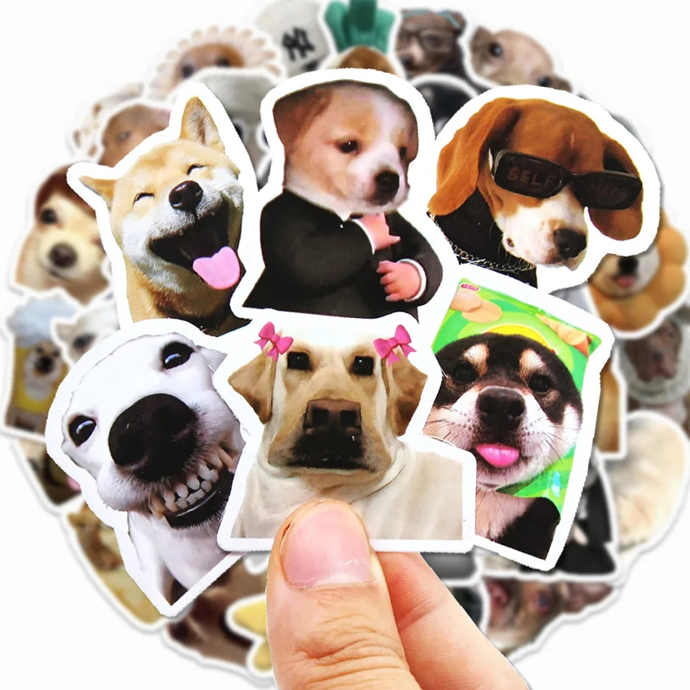 Funny Dogs Vol1 Set