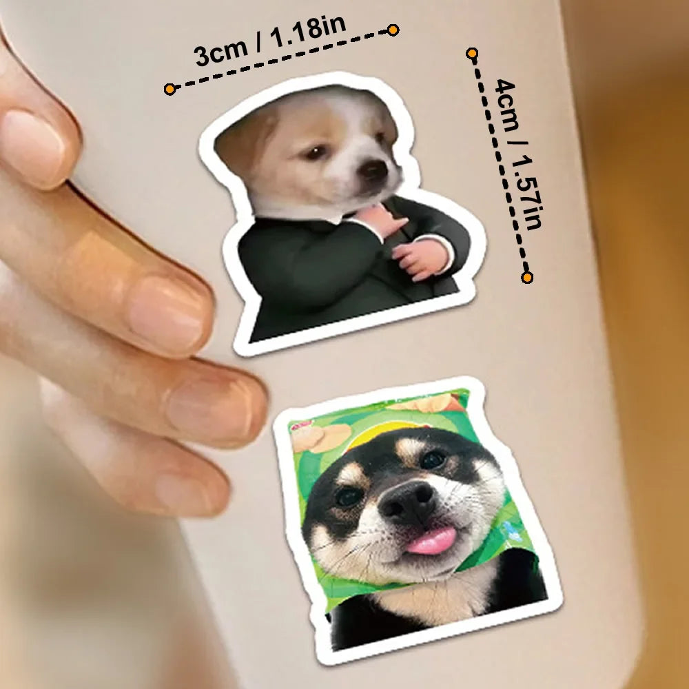 Funny Dogs Vol1 Set
