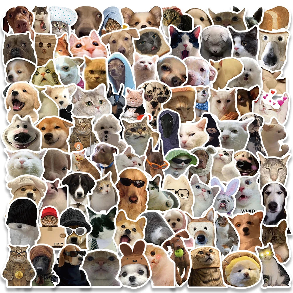 Funny Dog/Cat Set