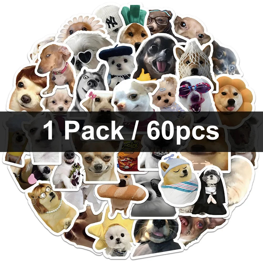 Funny Dogs Vol1 Set