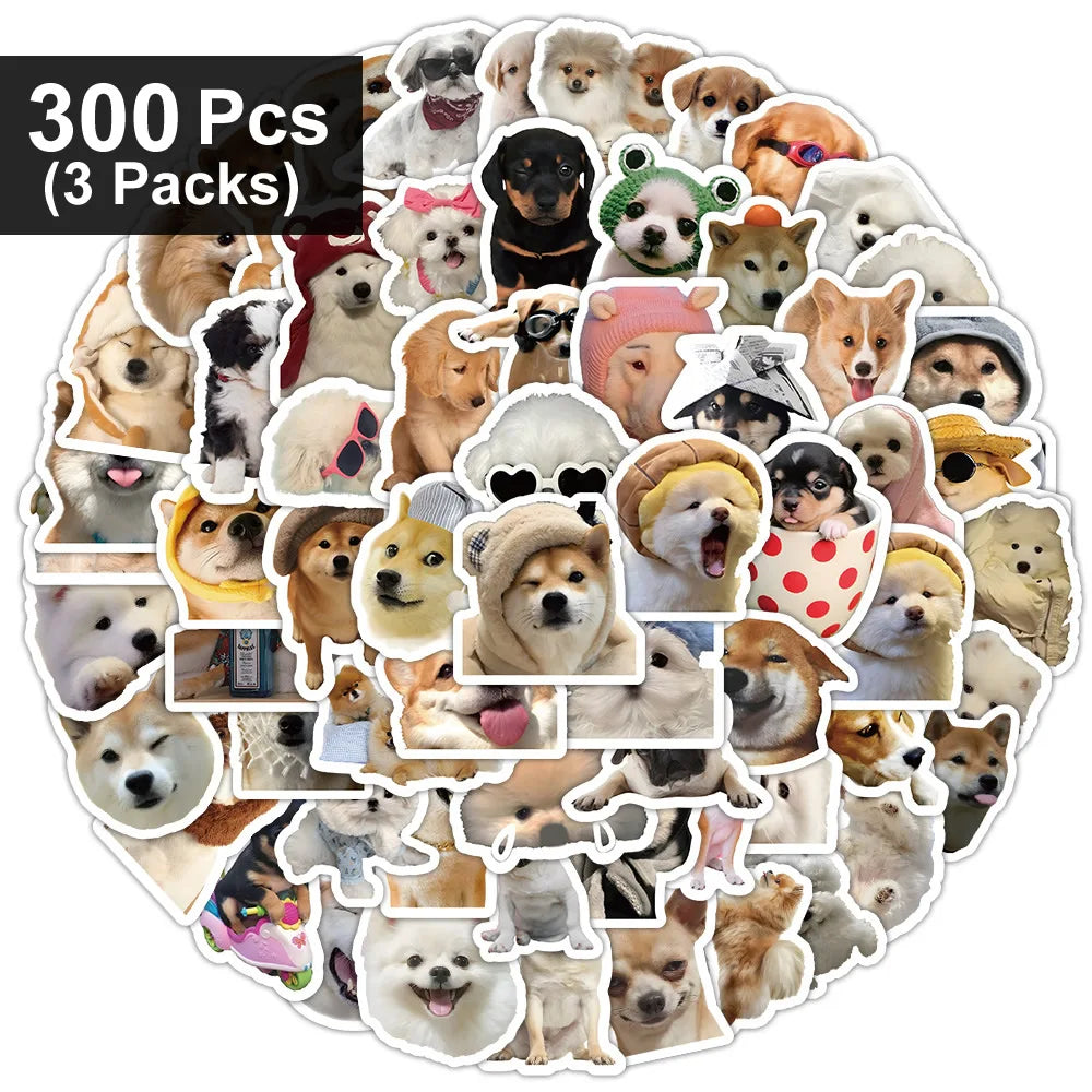 Funny Dogs Vol3 Set