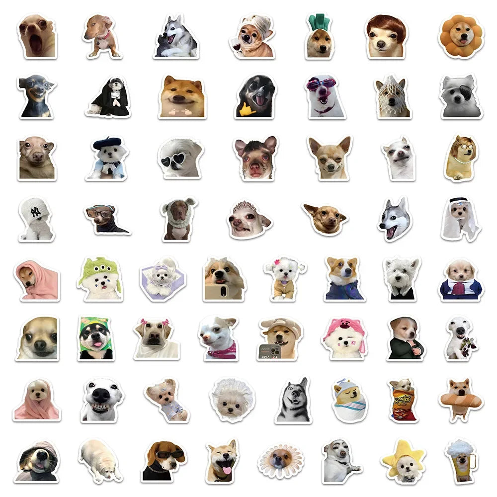 Funny Dogs Vol1 Set