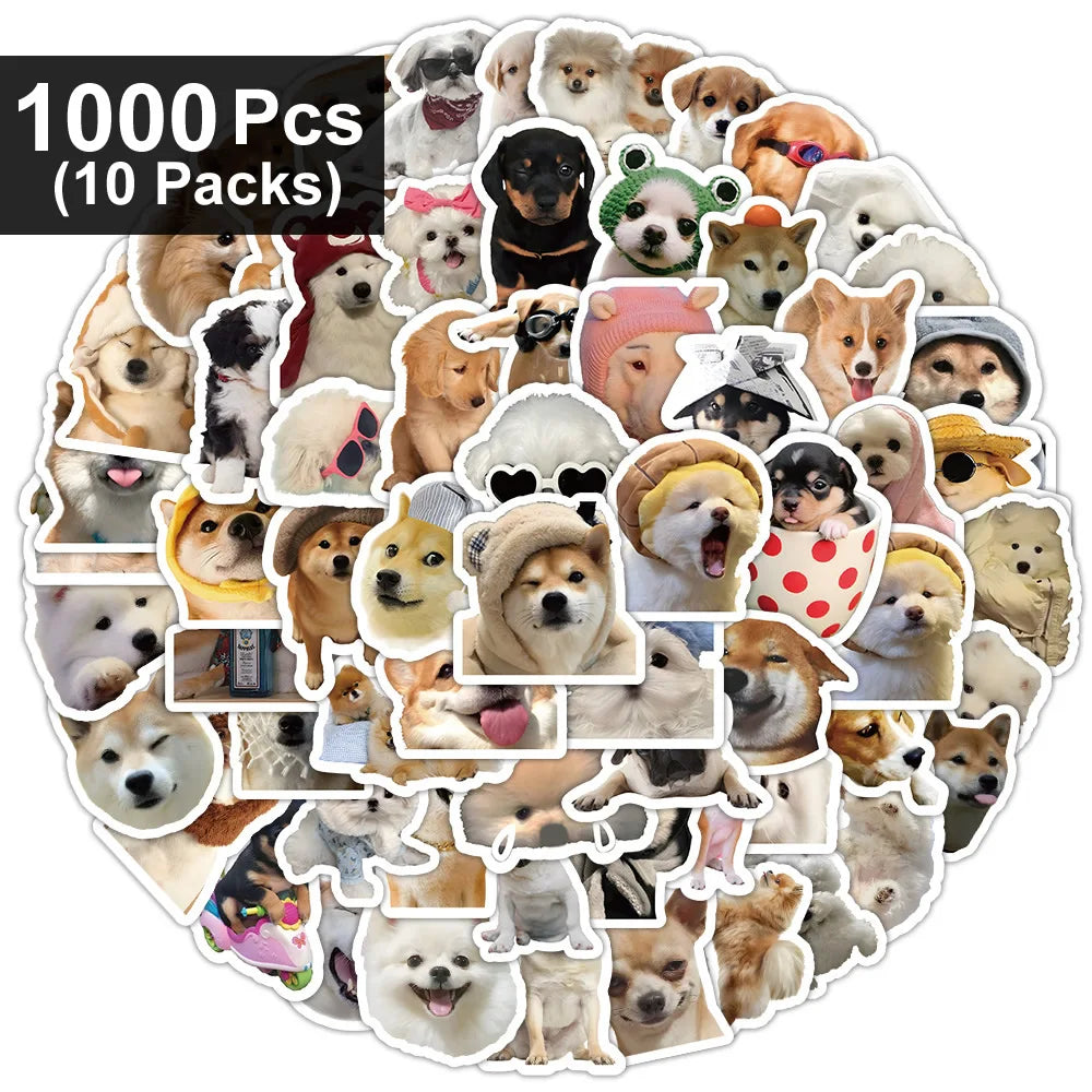 Funny Dogs Vol3 Set