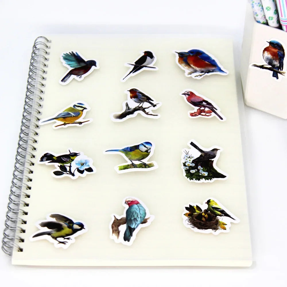Beautiful Birds Set