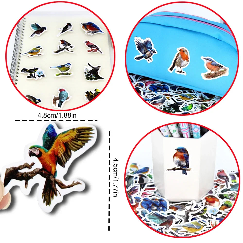Beautiful Birds Set