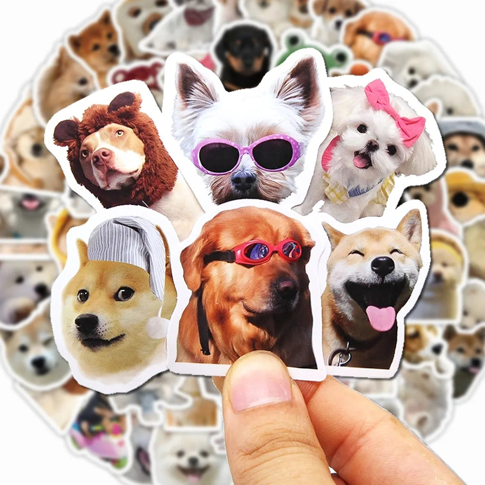 Funny Dogs Vol3 Set