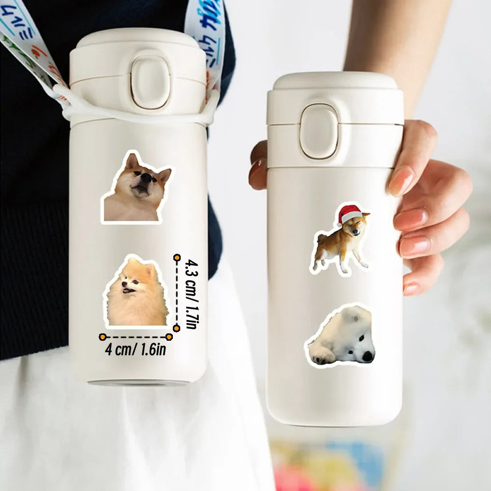 Funny Dogs Vol3 Set