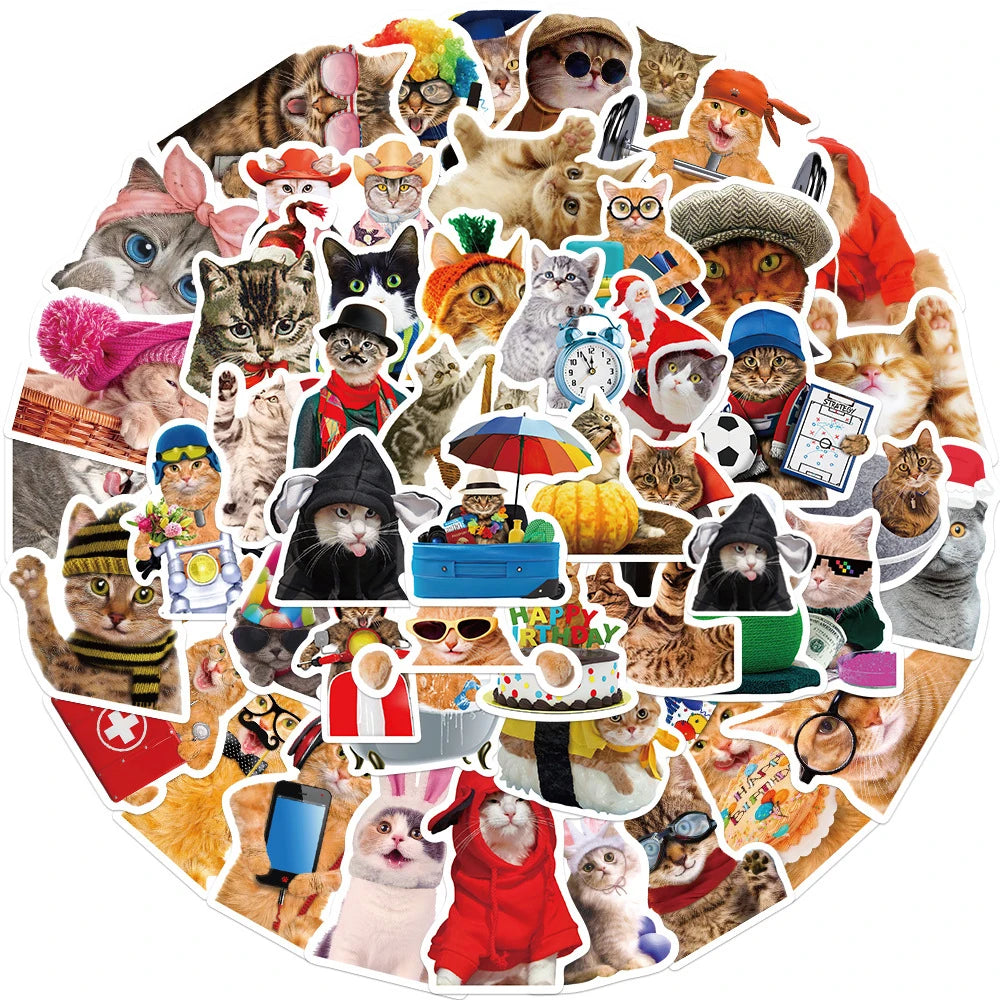 Cat Costumes Set