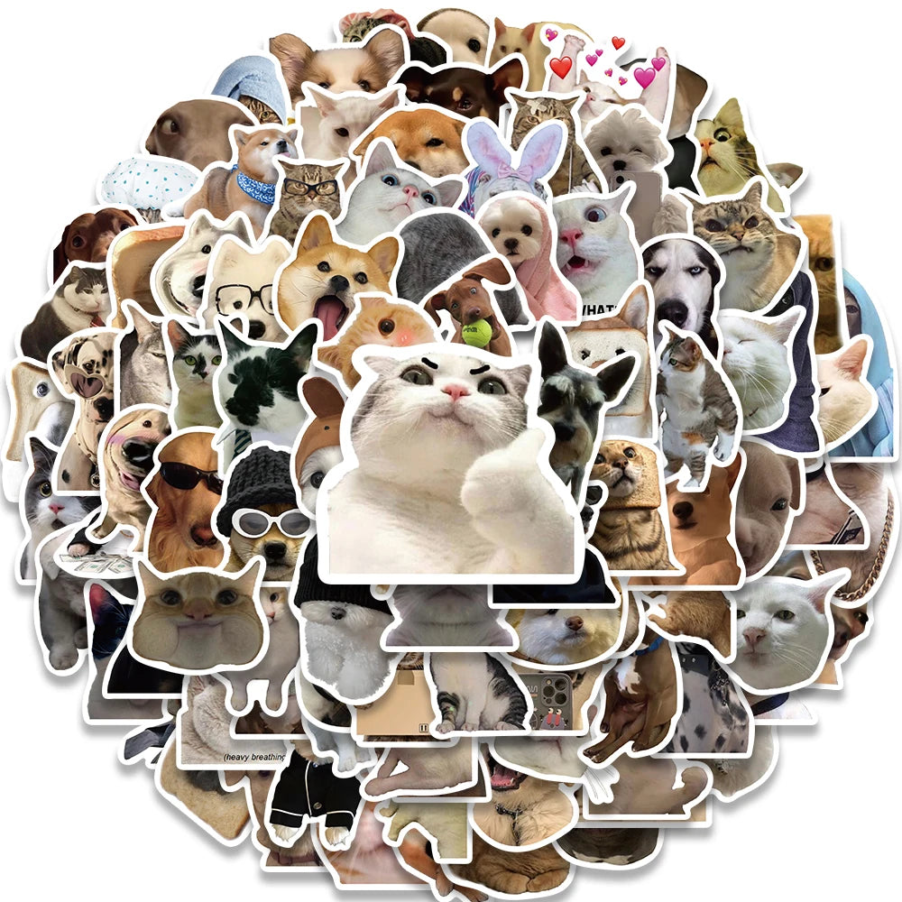 Funny Dog/Cat Set