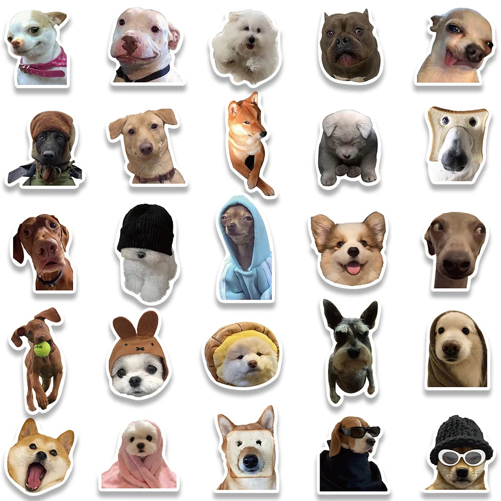 Funny Dog/Cat Set
