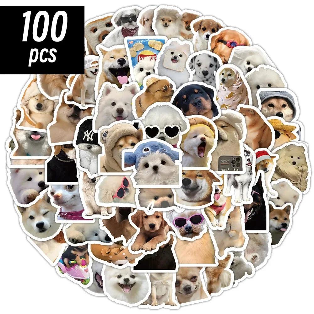 Funny Dogs Vol2 Set