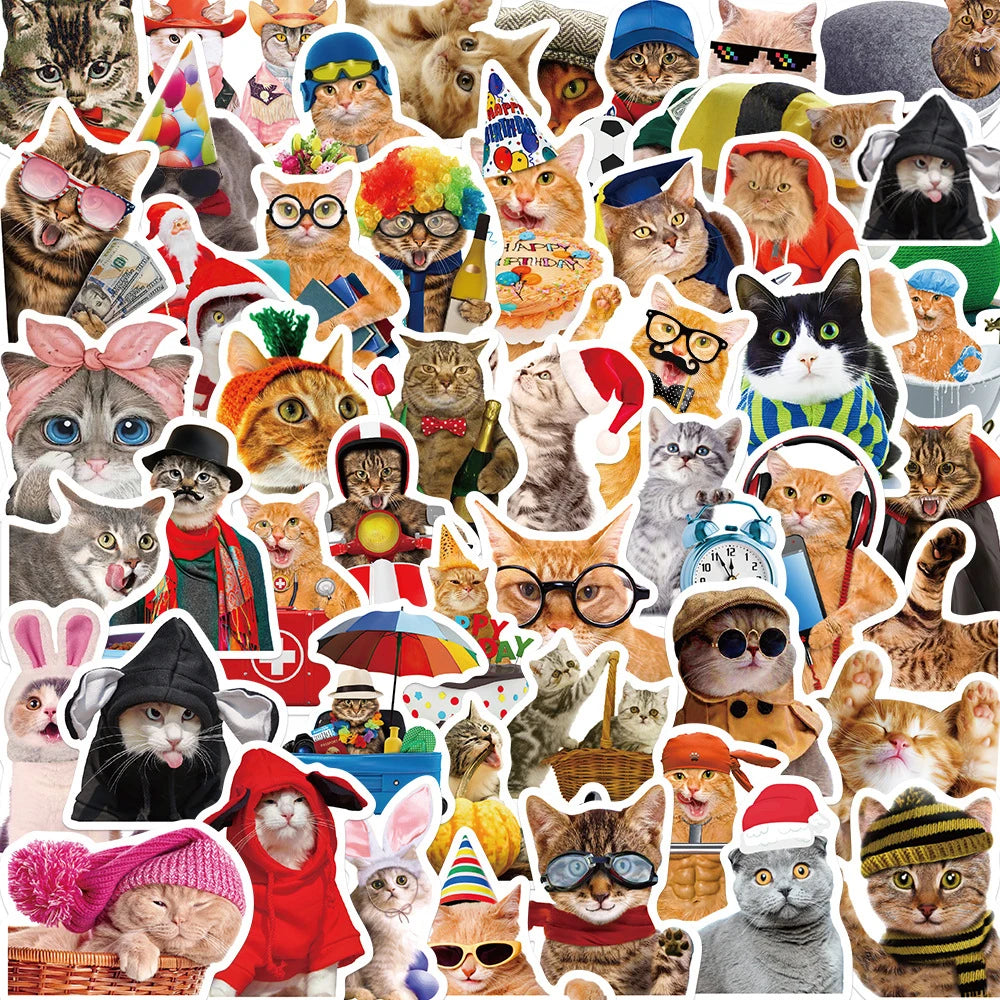 Cat Costumes Set