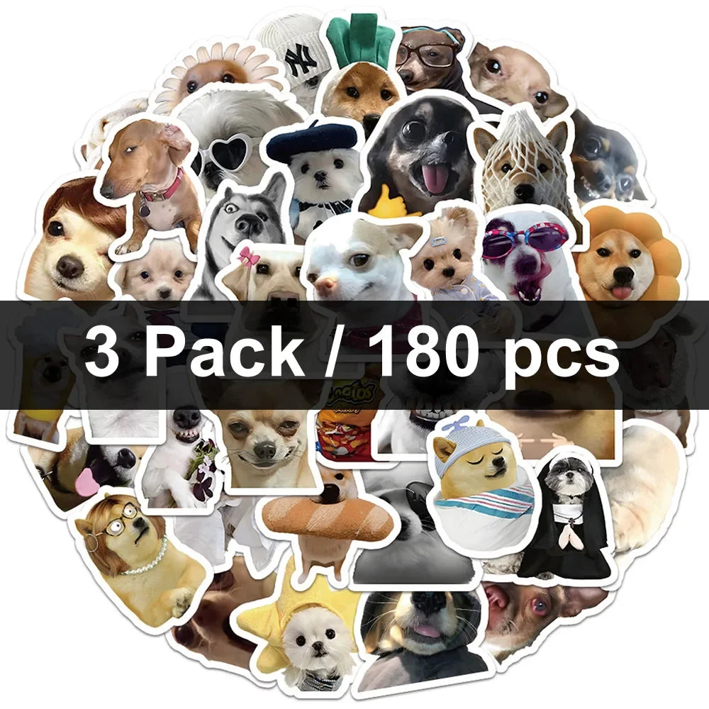 Funny Dogs Vol1 Set