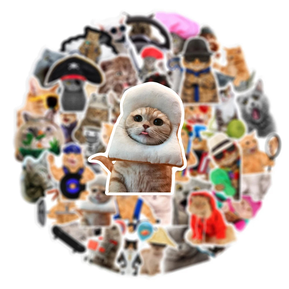 Silly Cats Set