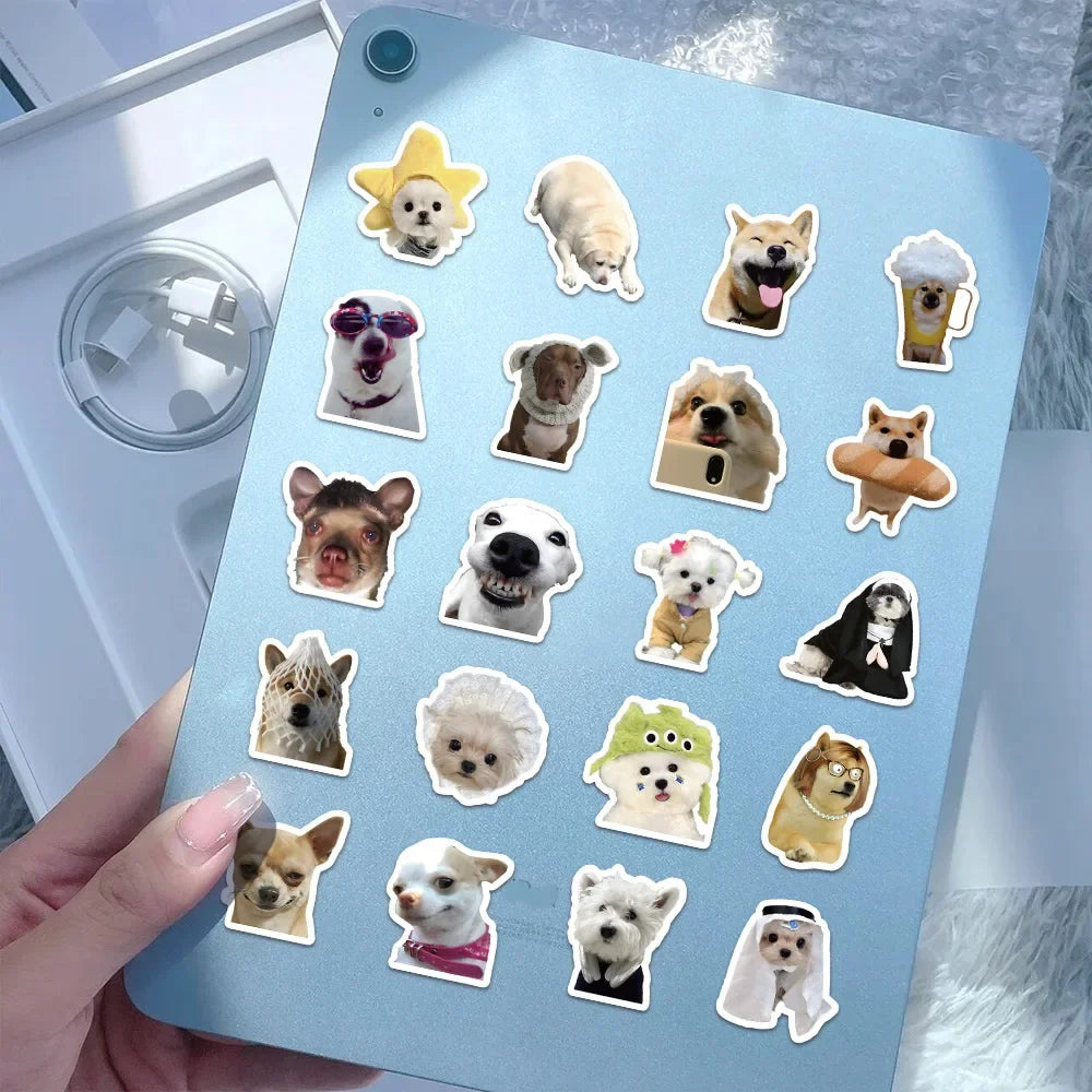 Funny Dogs Vol1 Set