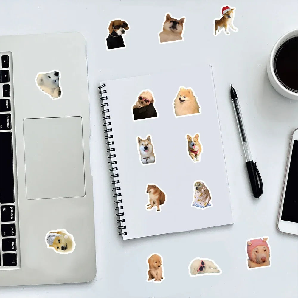 Funny Dogs Vol3 Set