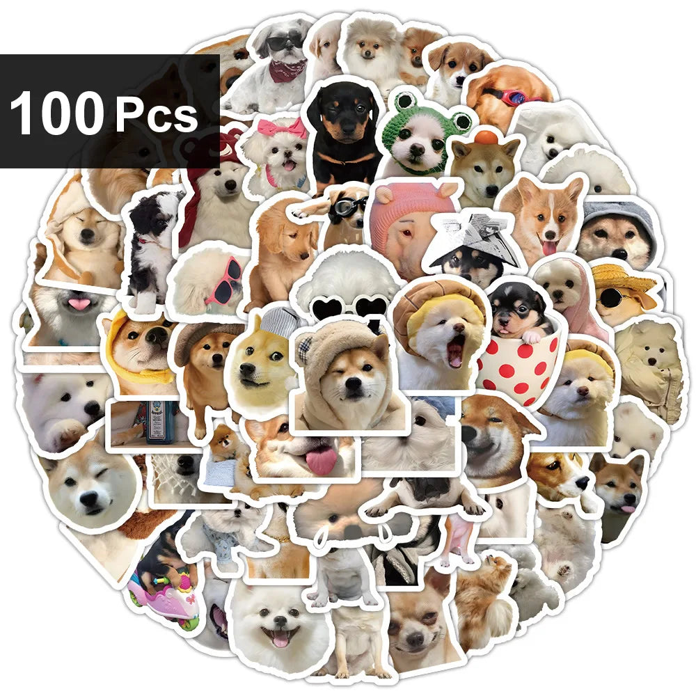 Funny Dogs Vol3 Set