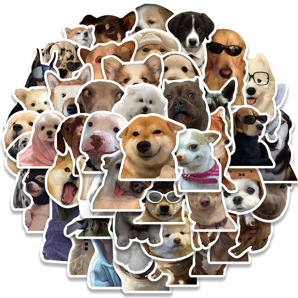 Funny Dog/Cat Set