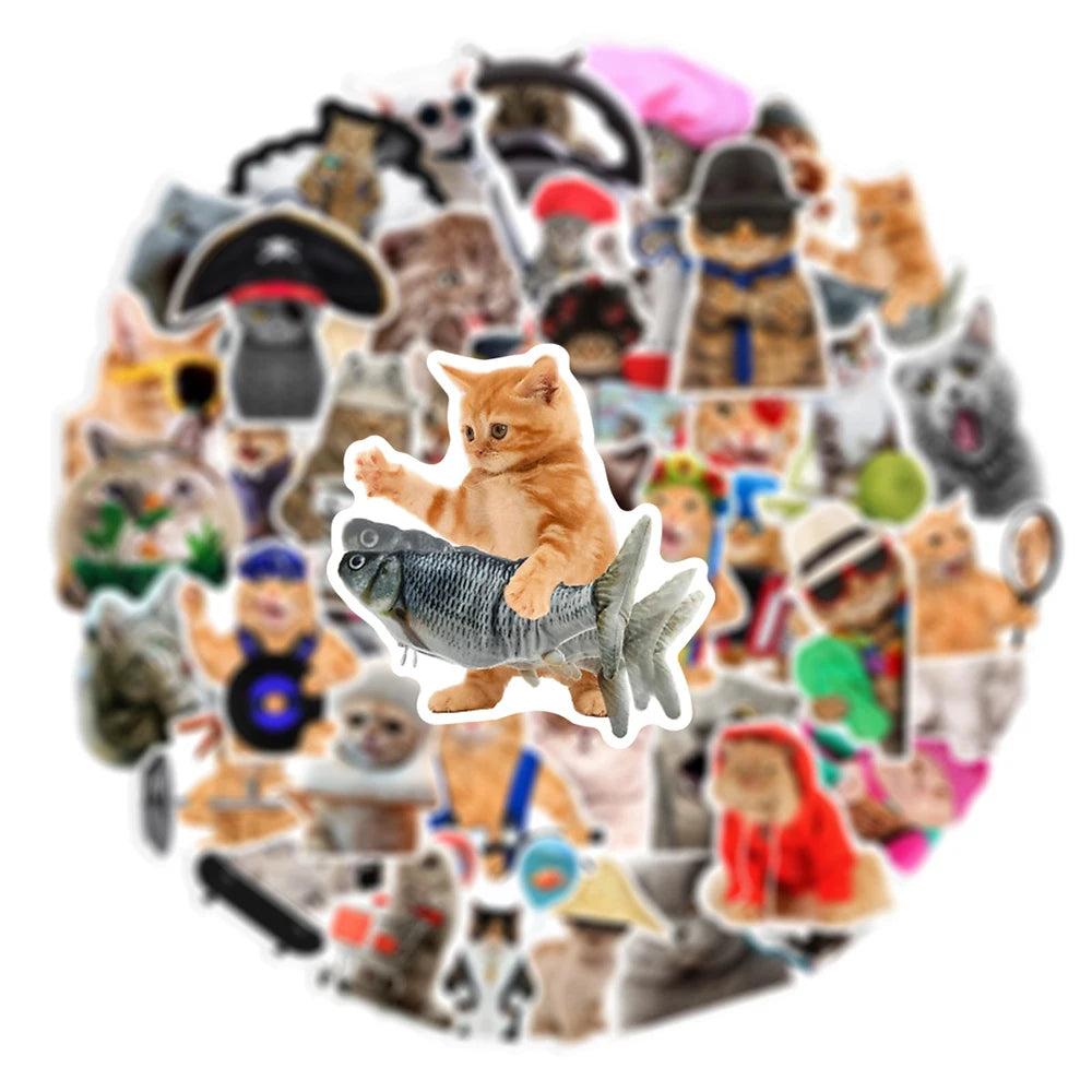 Silly Cats Set