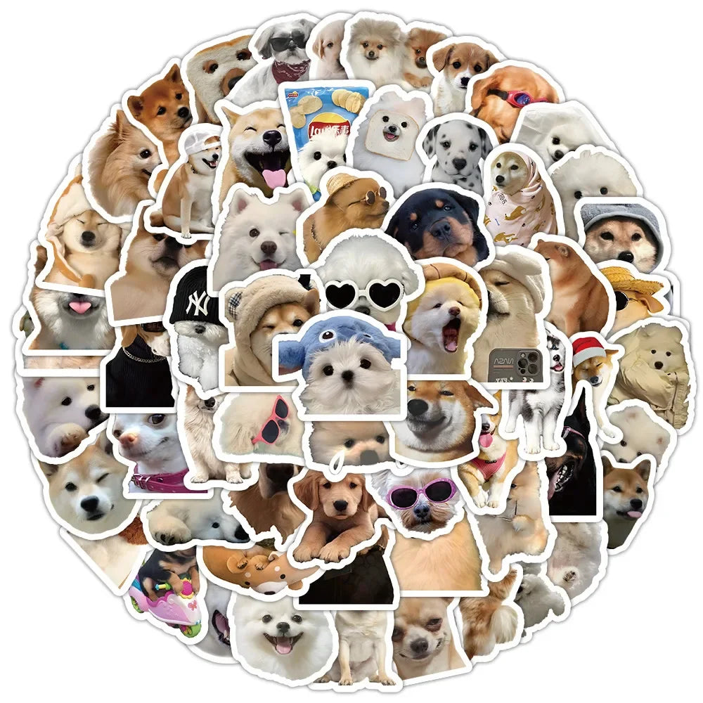 Funny Dogs Vol2 Set